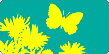 Picture of Butterflies 17354829