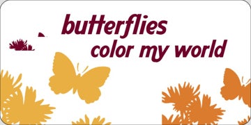 Picture of Butterflies 17355974