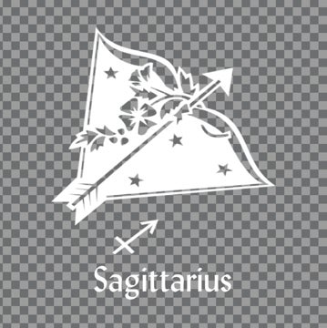 Picture of Zodiac Clear Decals 11965810