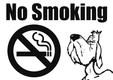 Picture of No Smoking 5182881