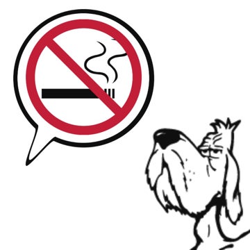 Picture of No Smoking 5183005
