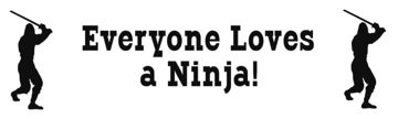 Picture of Ninja Stickers 13912453