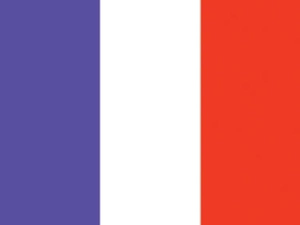 France Flag Template Customization
