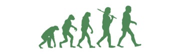 Picture of Evolution/Darwin 14934490