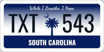 Picture of State Plates - South Carolina