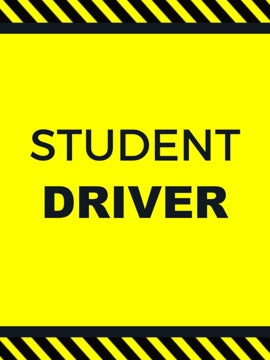 Picture of 24" x 18" Student Driver 1