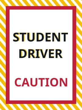 Picture of 24" x 18" Student Driver 4