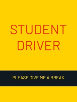 Picture of 24" x 18" Student Driver 7