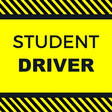 Picture of 24" x 24" Student Driver 1