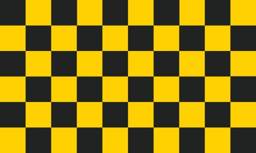 Picture of Yellow/Black Checkered Flag