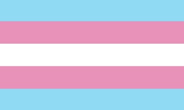 Picture of Trans Pride Flag