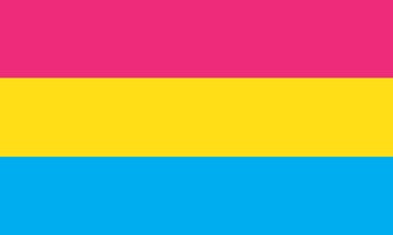 Picture of Pansexual Pride Flag