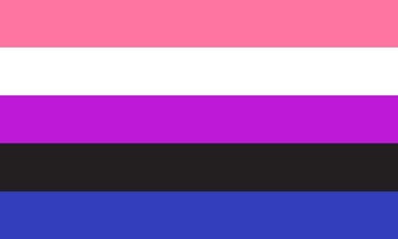 Picture of Gender Fluid Pride Flag
