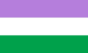 Picture of Genderqueer Pride Flag