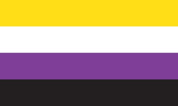 Picture of Non-Binary Pride Flag
