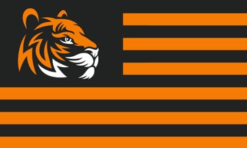 Picture of Sports Flag 4