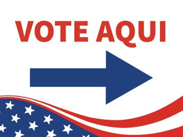Picture of Vote Sign 4