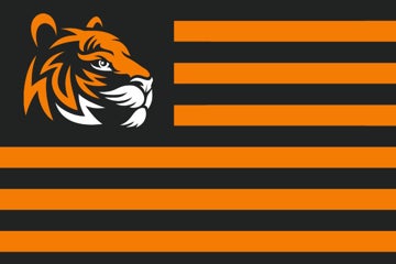 Picture of Sports Flag 4 - 4x6