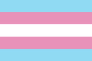 Picture of Trans Pride Flag- 2x3