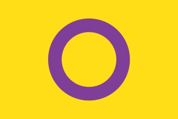 Picture of Intersex Pride Flag- 2x3