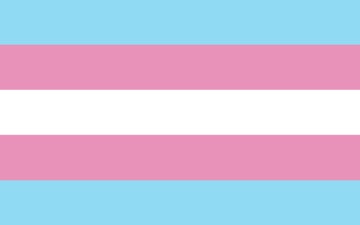 Picture of Trans Pride Flag- 5x8