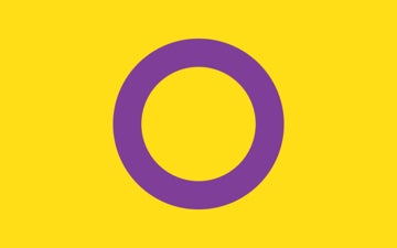 Picture of Intersex Pride Flag- 5x8