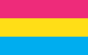 Picture of Pansexual Pride Flag- 5x8