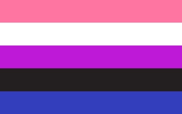 Picture of Gender Fluid Pride Flag- 5x8