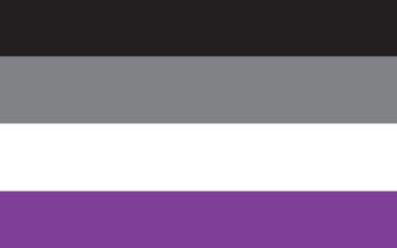 Picture of Asexual Pride Flag- 5x8