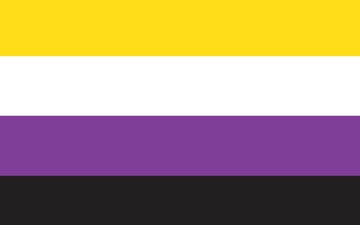 Picture of Non-Binary Pride Flag- 5x8